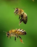 FB_IMG_1652931289875.webp