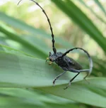 IMG_0225_cr.webp