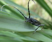 IMG_0230_cr.webp