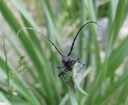 IMG_0243_cr.webp