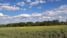 20220523_173326.jpg