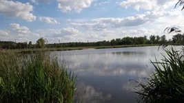 20220523_172513.jpg