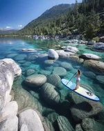 FB_IMG_1653448464052.webp