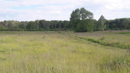 20220525_171853.jpg