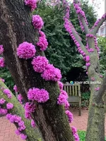 FB_IMG_1653503013739.webp