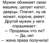 FB_IMG_1653565515462.webp