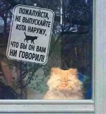 FB_IMG_1653767604985.jpg