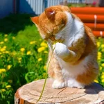 FB_IMG_1653797945799.webp