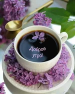 FB_IMG_1651378160312.webp