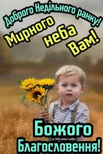 FB_IMG_1653799406630.webp