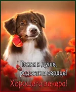FB_IMG_1653839465958.webp