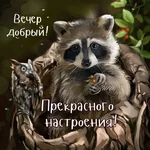 FB_IMG_1653839639483.webp