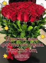 FB_IMG_1653845809738.webp