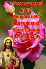 FB_IMG_1653883776438.webp