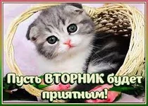  (16).webp