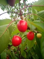 unnamed4.webp