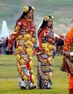 FB_IMG_1654016467917.webp