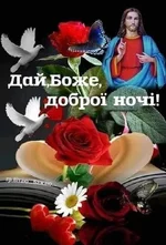 FB_IMG_1654022006150.webp