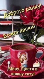 FB_IMG_1654055225394.webp