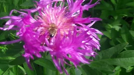 20220530_085233.jpg