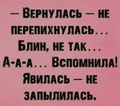 FB_IMG_1654253813703.webp