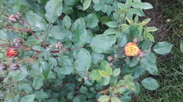 20220603_063934.jpg