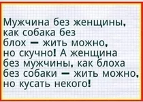 FB_IMG_1654280335064.webp