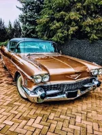 FB_IMG_1654283232221.webp