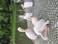 20220606_143701.webp