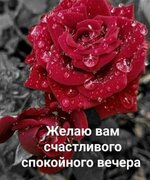 FB_IMG_1654539593786.jpg