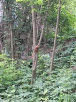 20220605_163625.webp