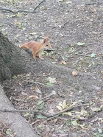 20220605_173155.webp