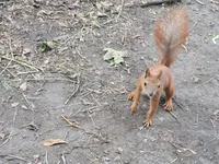 20220605_173502.webp