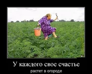 1564990092_27.webp