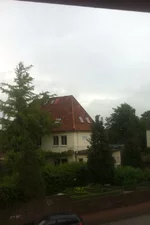 image.webp