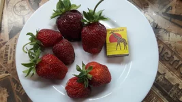 20220621_204125.jpg