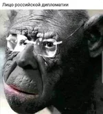 FB_IMG_1655455678339.webp