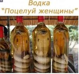 FB_IMG_1656260052599.jpg