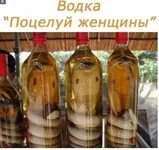FB_IMG_1656260052599.webp