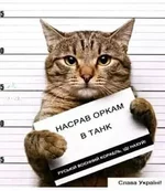 IMG-20220510-WA0000.webp