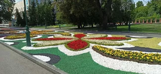 IMG-9f772f0f2b63a95caa6cda392d0f12ec-V.webp