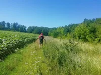 IMG_20220702_112556.jpg