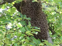  (17).webp