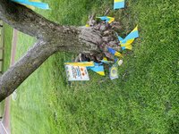 IMG_6784.jpg