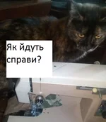 22.webp