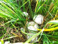 IMG_20220724_082857.jpg