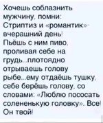 FB_IMG_1659196175308.webp