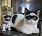 FZDJynZXwAEyW0U.webp
