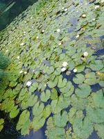 00002IMG_00002_BURST1659354386860.webp