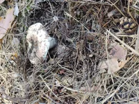 IMG_20220806_140350.webp